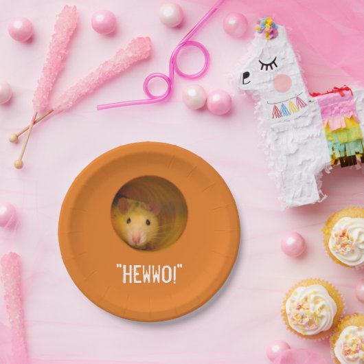 Funny Optical Illusion Rat in Gat Papieren Bordje (Feest)