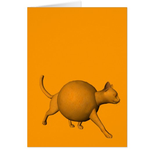 Funny Oranje Cat (Voorkant)