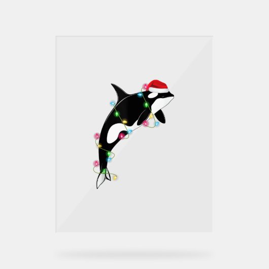 Funny Orca Killer Whale Santa Hat Zee en Acryl Bord (Voorkant)