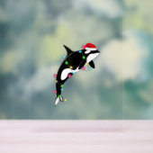 Funny Orca Killer Whale Santa Hat Zee en Acryl Bord (Neutraal)