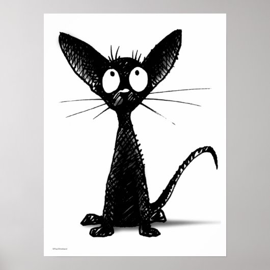 Funny Oriental Black Cat Poster (Voorkant)