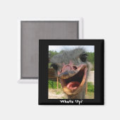 Funny Ostrich Bird Photo What's Up Magneet (Voorkant / Achterkant)