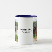 Funny Ostrich Bird Photo What's Up Mok (Midden)