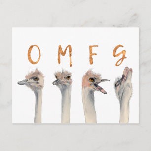 Funny Ostrich Birds OMFG Briefkaart