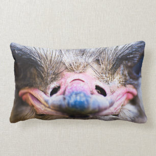 Funny Ostrich Face close up Pillow Kussen