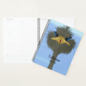 Funny Ostrich George et le mignon Ladybug (Devant avec enveloppe)