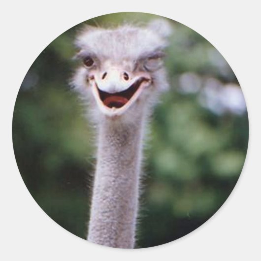 Funny Ostrich Ronde Sticker (Voorkant)