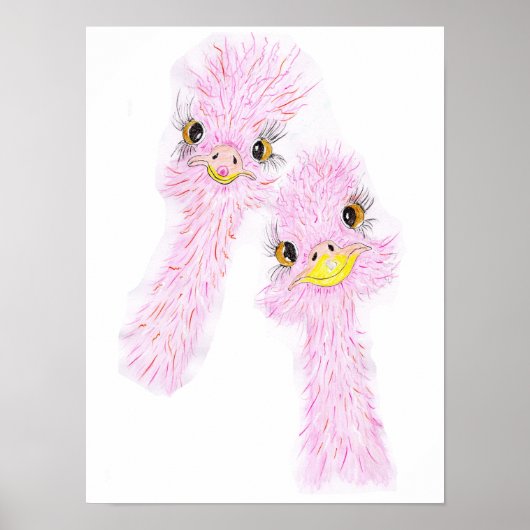 Funny Ostriches Poster (Voorkant)