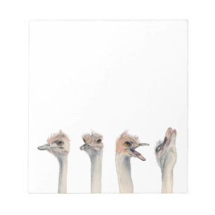 Funny Ostriches Waterverf Illustratie Notitieblok