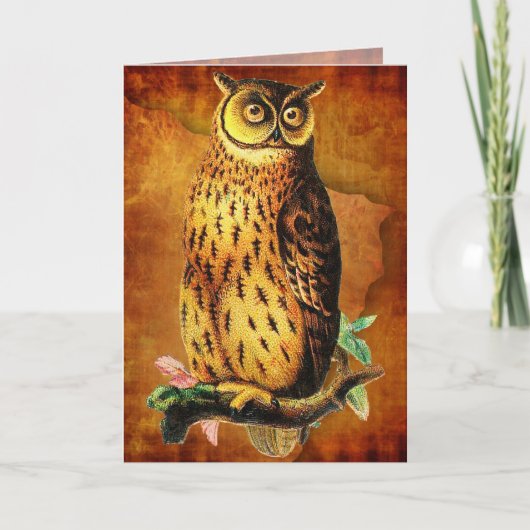 Funny  Owl Birthday Card Kaart (Voorkant)