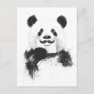 Funny panda briefkaart