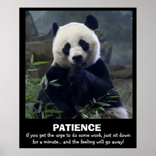 Funny Panda Poster, PATIENCE Poster