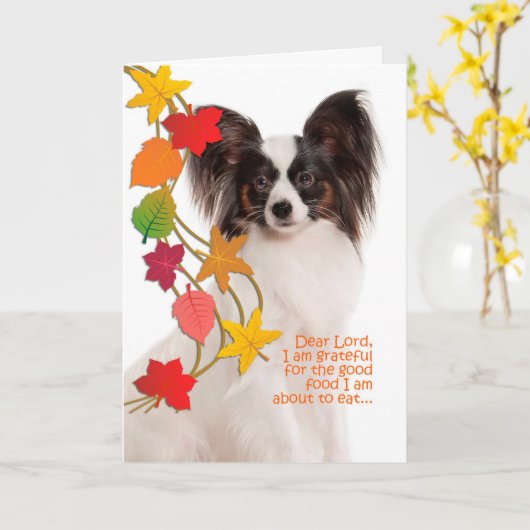 Funny Papillon Carte d'Action de grâce (Fleur jaune)