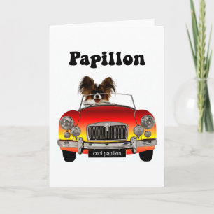 Funny Papillon Kaart