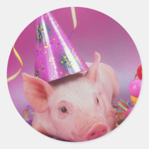 Funny Party Pig Ronde Sticker