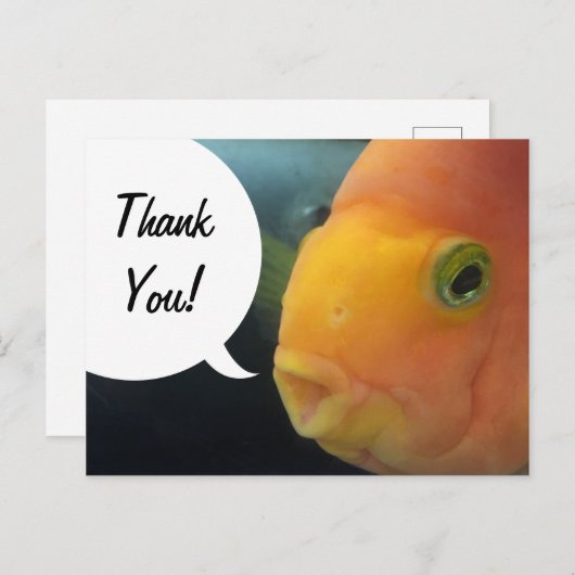 Funny Peekaboo Fish Bedankt Briefkaart (Voorkant / Achterkant)