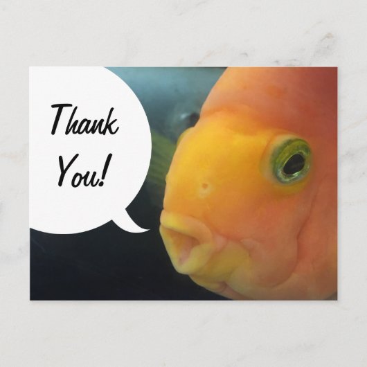 Funny Peekaboo Fish Bedankt Briefkaart (Voorkant)