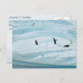 Funny Penguins Hartelijk dank Briefkaart (Voorkant / Achterkant)