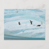 Funny Penguins Hartelijk dank Briefkaart (Voorkant)