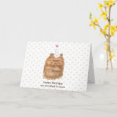 Funny Persian Cat met partijPet Kaart (Gele Bloem)