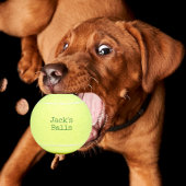 Funny Personalized Tennis Balls Tennisballen