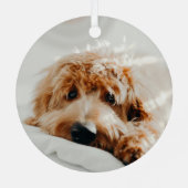 Funny Pet 2 met Kerstmis Metalen Ornament (Achterkant)