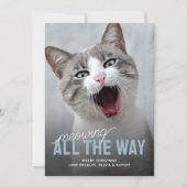 Funny Pet Cat Holiday Christmas Kaarten (Voorkant)