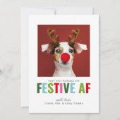 Funny Pet Chien Chat Photo Carte de Noël Festif AF (Devant)