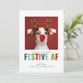 Funny Pet Chien Chat Photo Carte de Noël Festif AF (Debout devant)