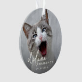 Funny Pet Définir Naughty Christmas (devant)