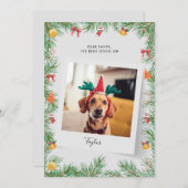 Funny Pet Dog Aangepaste Kerstmis Feestdagenkaart (Voorkant / Achterkant)