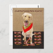 Funny Pet Espagnol Carte postale et aide pédagogiq (Devant / Derrière)