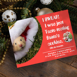 Funny pet Hamster Photo Christmas Card Feestdagenkaart
