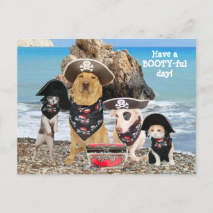 Funny Pet Pirate Day Briefkaart