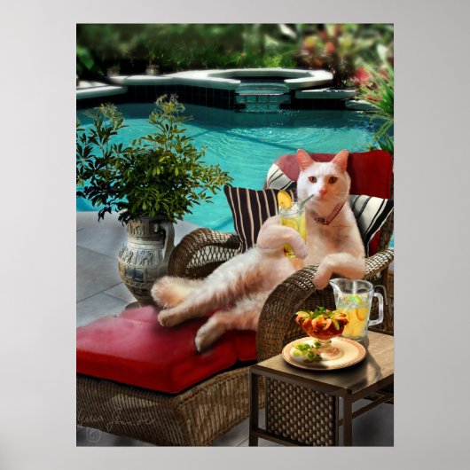 Funny Pet Poster Cat Luxury Vacature (Voorkant)