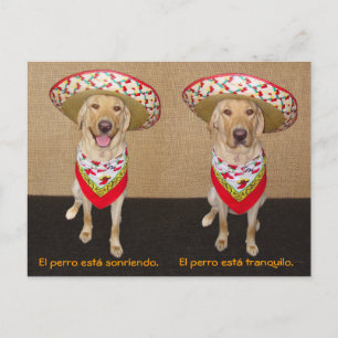 Funny Pet Spaans Briefkaart & Teaching Aid