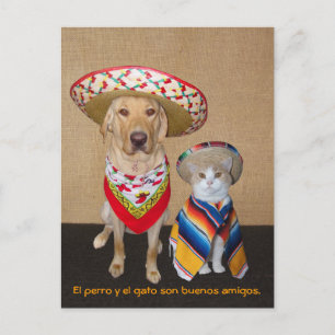 Funny Pet Spain Briefkaart & Teaching Aid