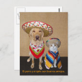 Funny Pet Spain Briefkaart & Teaching Aid (Voorkant / Achterkant)