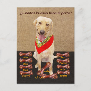 Funny Pet Spain Briefkaart & Teaching Aid
