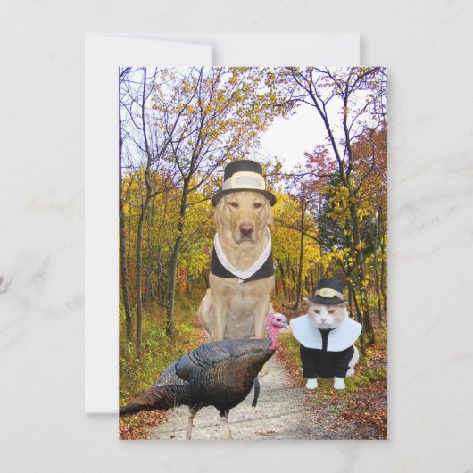 Funny Pets Thanksgiving Uitnodiging (Voorkant)