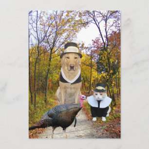 Funny Pets Thanksgiving Uitnodiging
