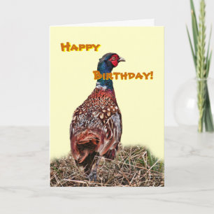 Funny Pheasant verjaardagskaart Kaart