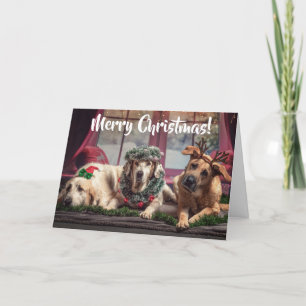 Funny Photo Dogs in kerstAntlers en hoofdkleding Feestdagen Kaart