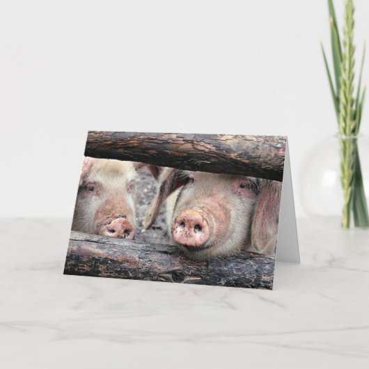 Funny Pig Aangepaste Verjaardag Kaart (Voorkant)