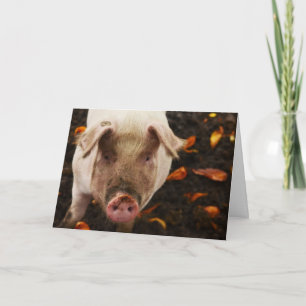 Funny Pig Aangepaste Verjaardag Kaart