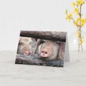 Funny Pig Carte d'anniversaire personnalisée (Fleur jaune)