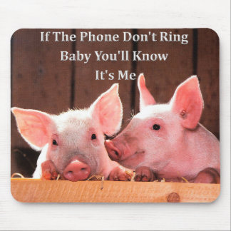 Funny Pig Memes met grappige gezegden en citaten Muismat