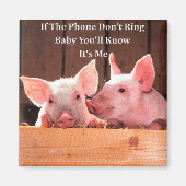 Funny Pig Memes met grappige varken gezegden en qu Magneet (Voorkant)