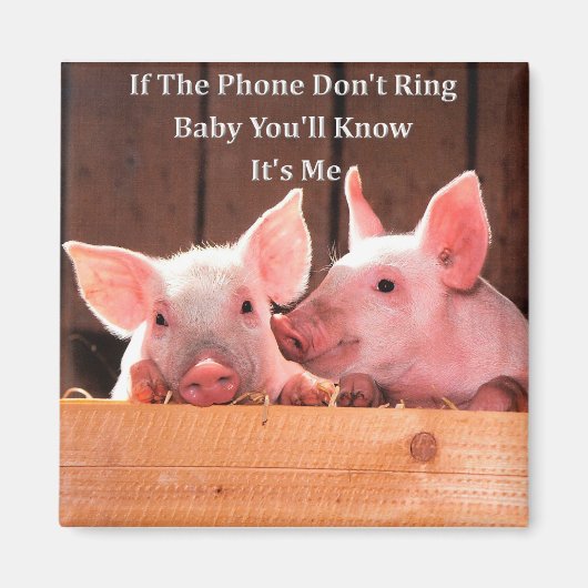 Funny Pig Memes met grappige varken gezegden en qu Magneet (Voorkant)