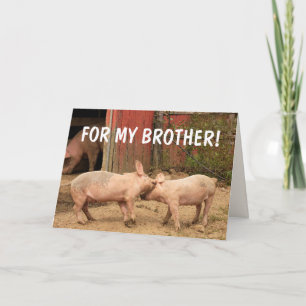 Funny Pigs voor MIJN BROTHER Birthday Kaart
